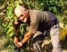 VENDEMMIA 2006 001
